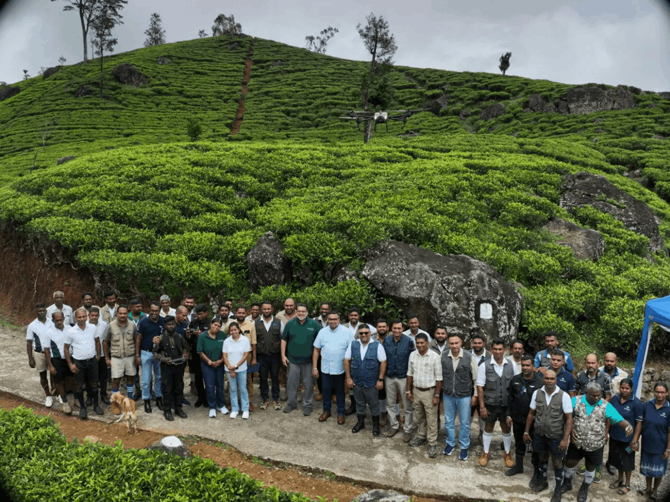 Driving Plantation Excellence with Advanced Drone Spraying Technology