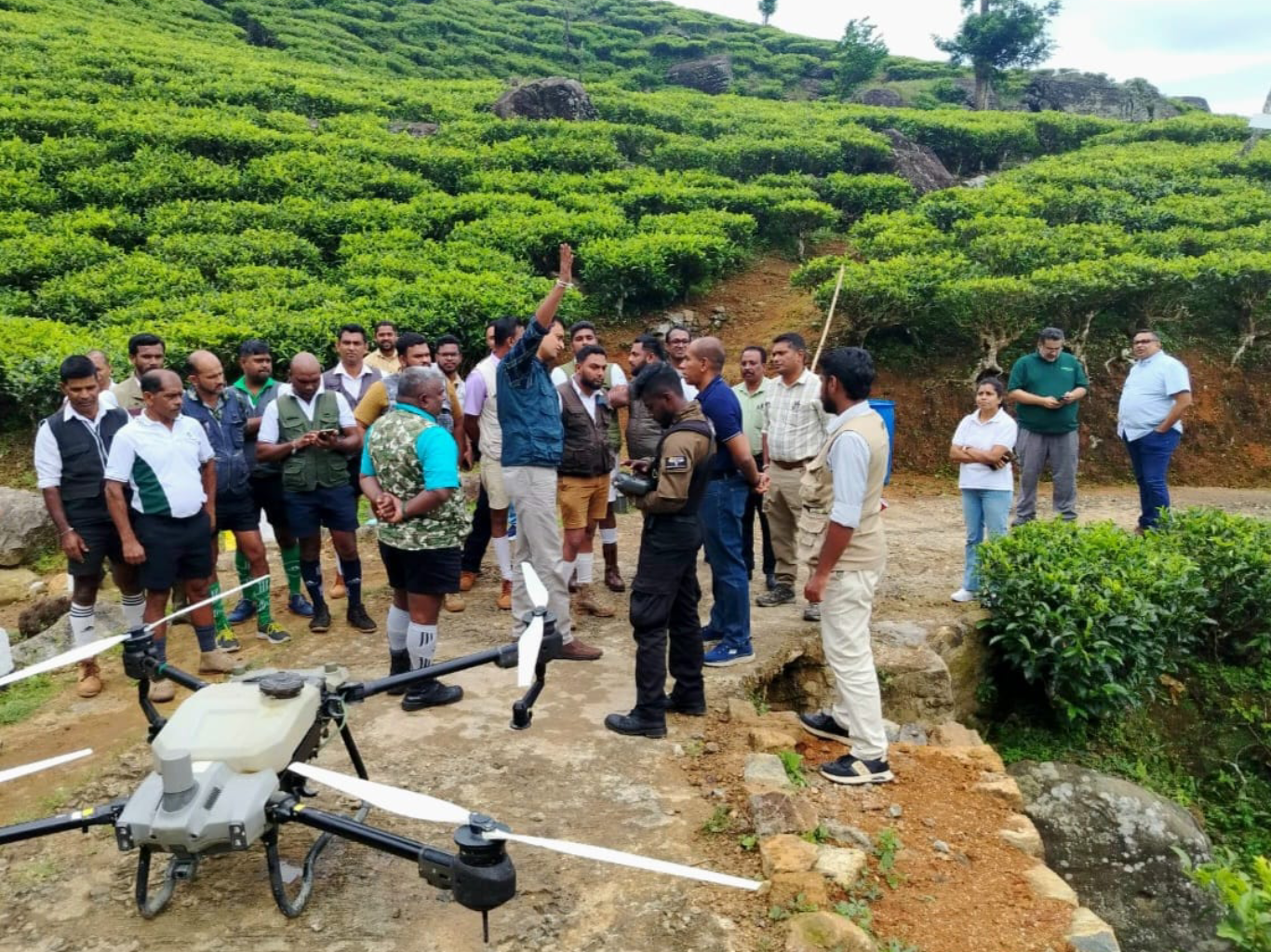 Driving Plantation Excellence with Advanced Drone Spraying Technology