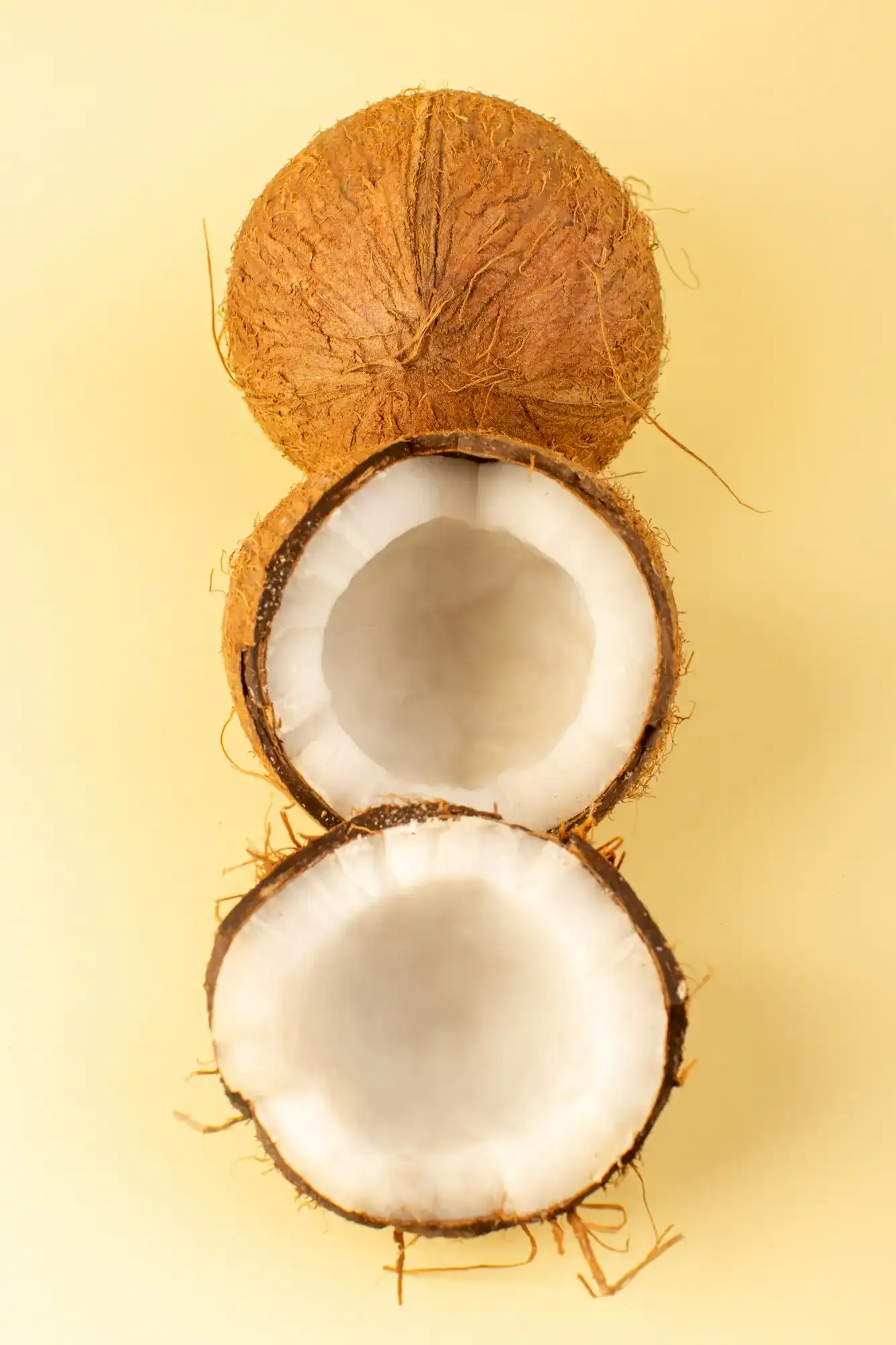 Coconut