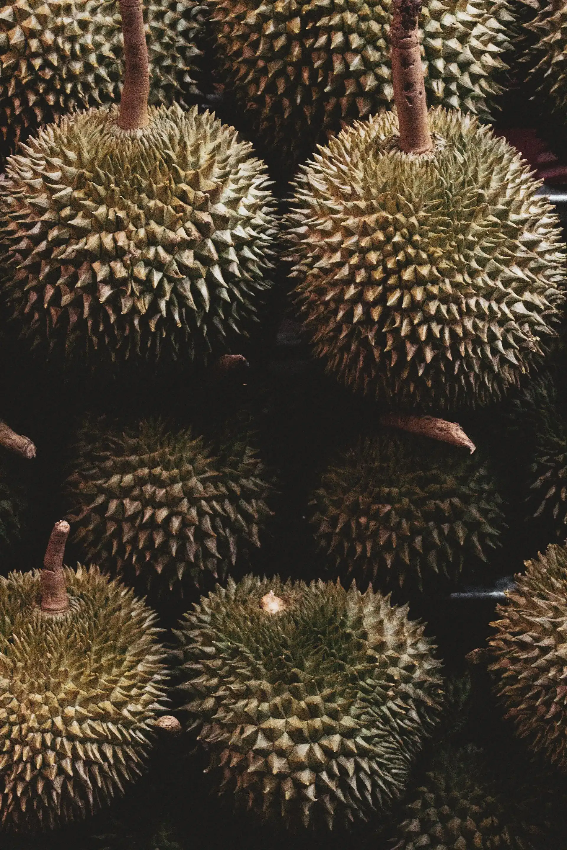 Durian