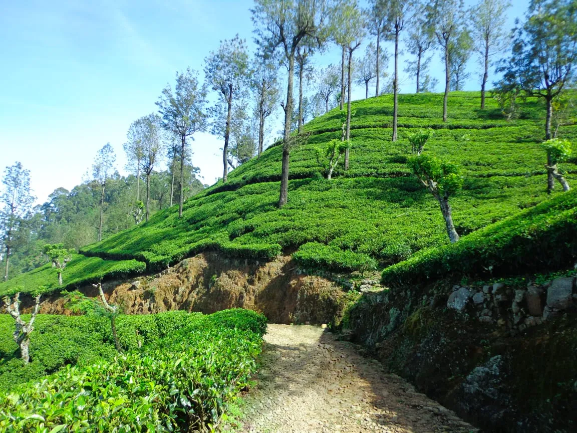 Spring Valley Estate