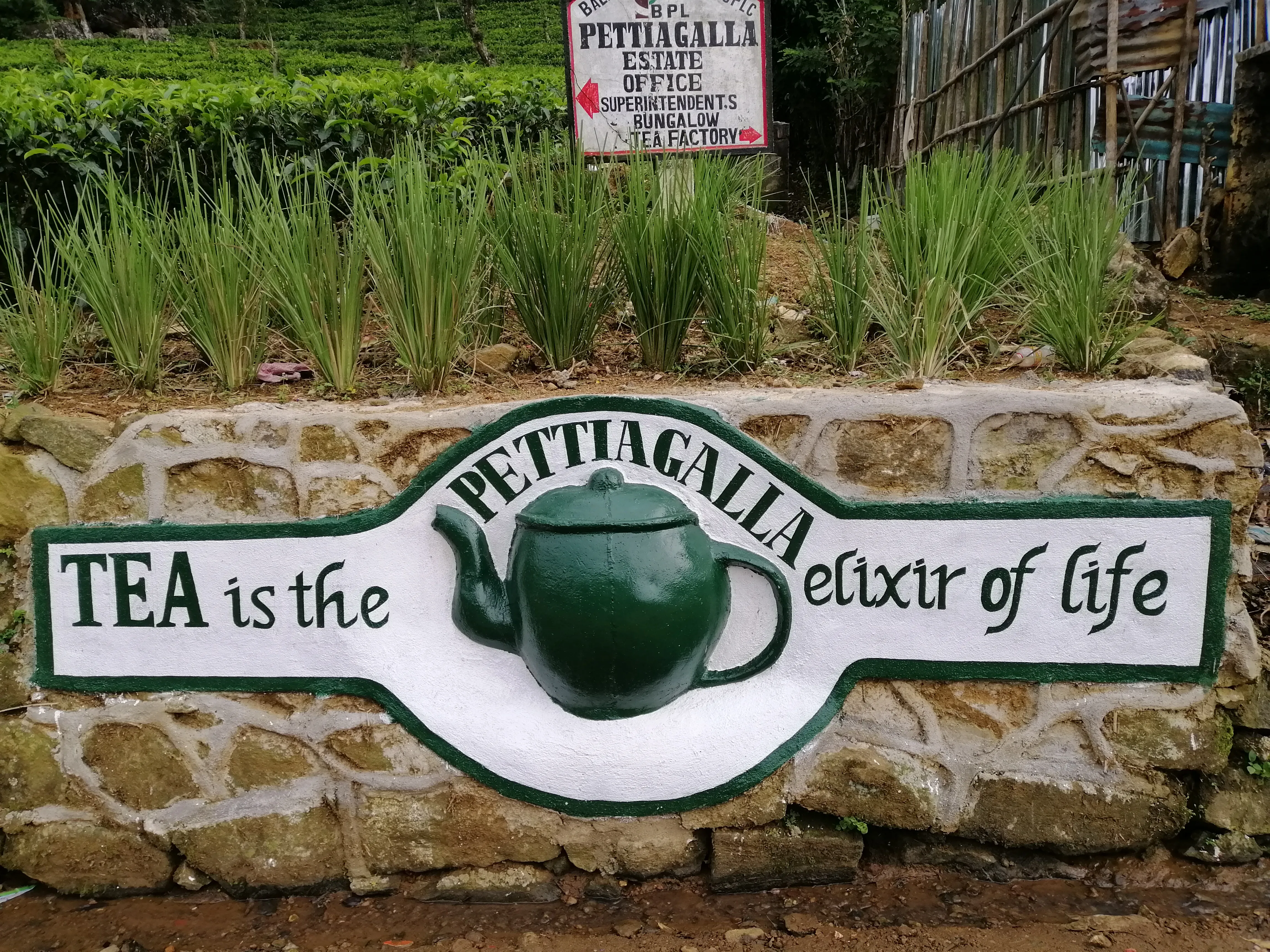 Pettiagalla Estate
